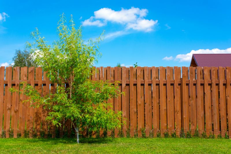Backyard Wood Fence Service